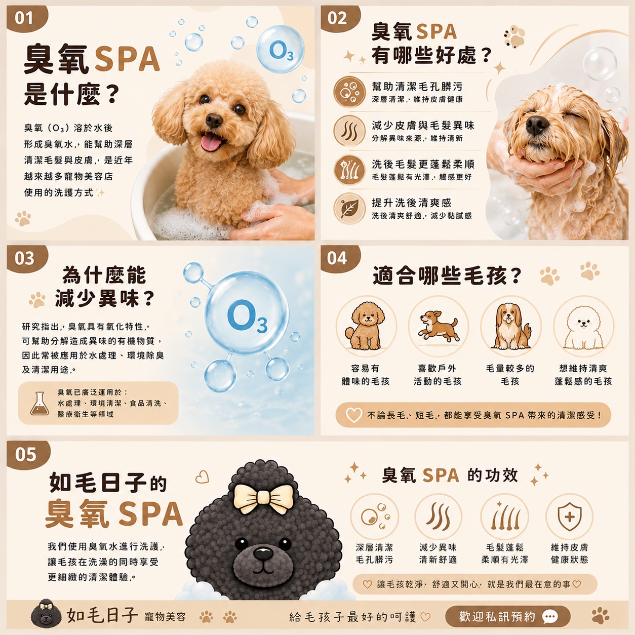 臭氧SPA